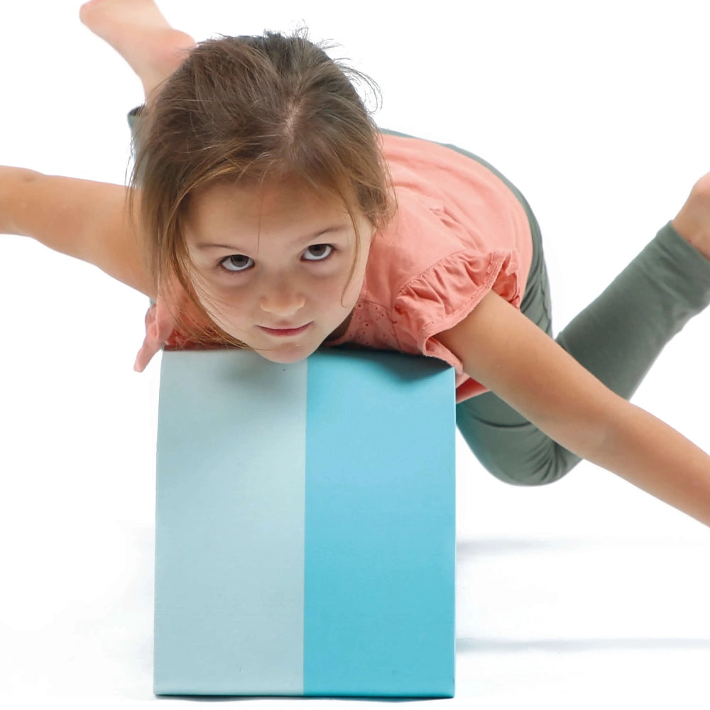 Ludi Motor Skills Modules 12M+