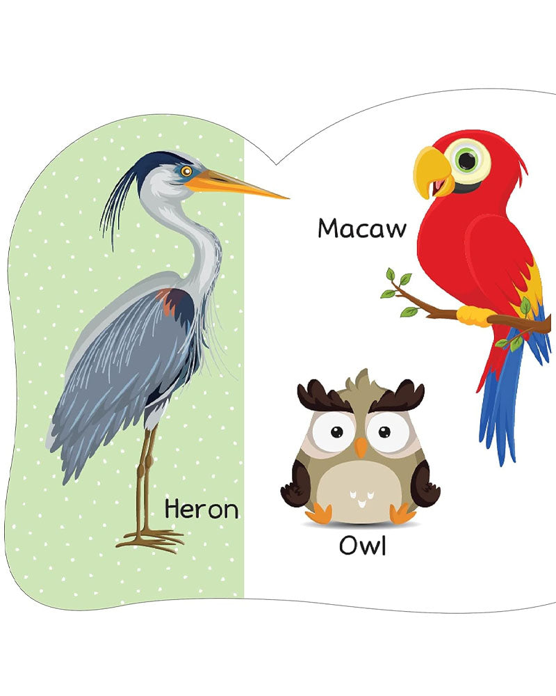 A to Z Learning - Wild Animals