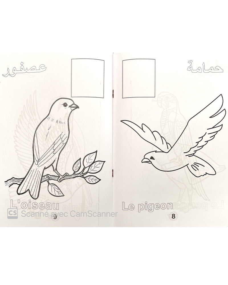 سلسلة لون مع  - Collection de 4 Livres