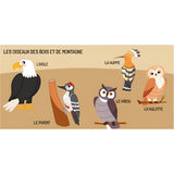 Apprends Les Noms Des Oiseaux