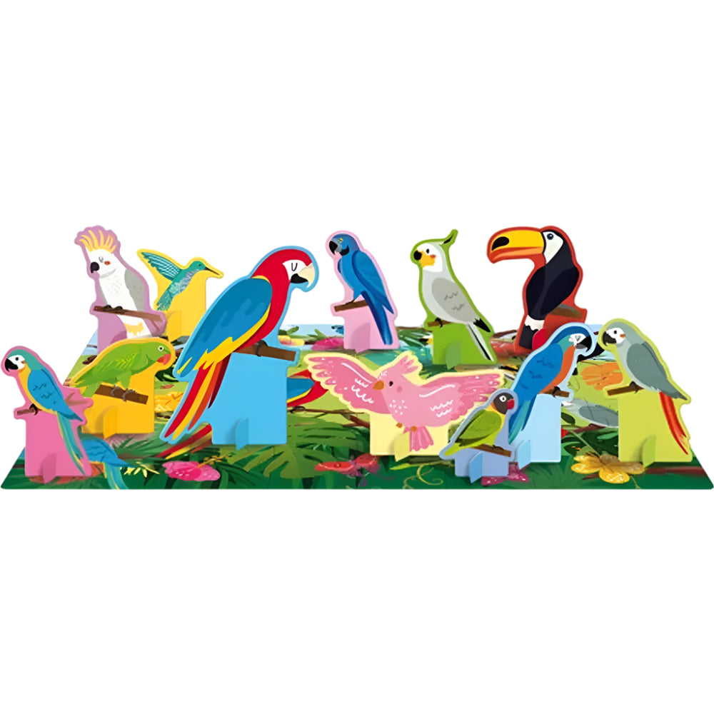 Apprends Les Noms Des Oiseaux