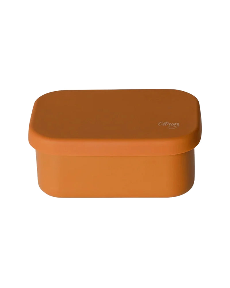 Citron Mini Stainless Steel Snack Box - Caramel