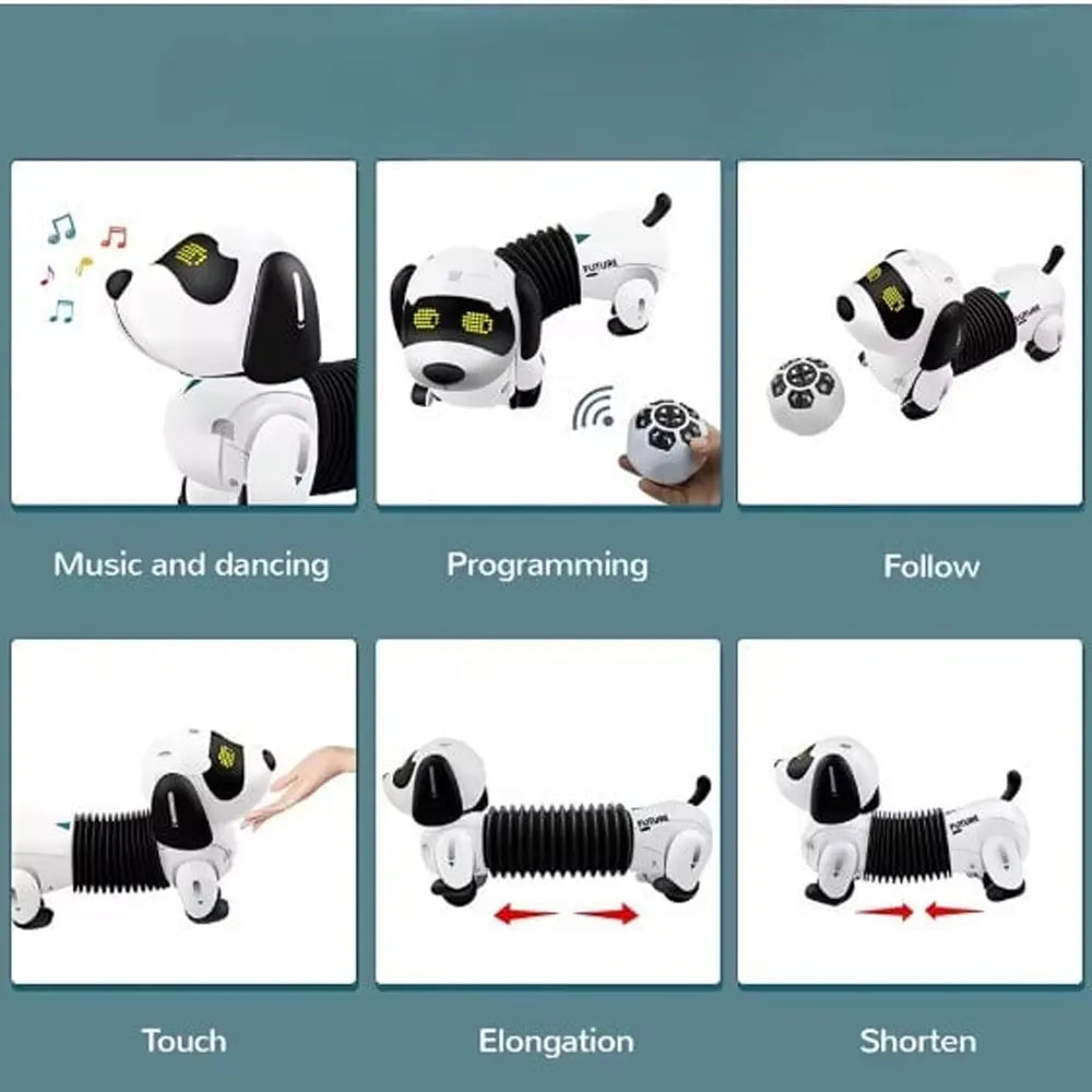 Programmable Remote Control Robot Dog – 3Y+