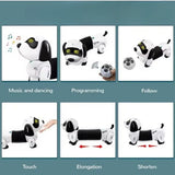 Programmable Remote Control Robot Dog – 3Y+