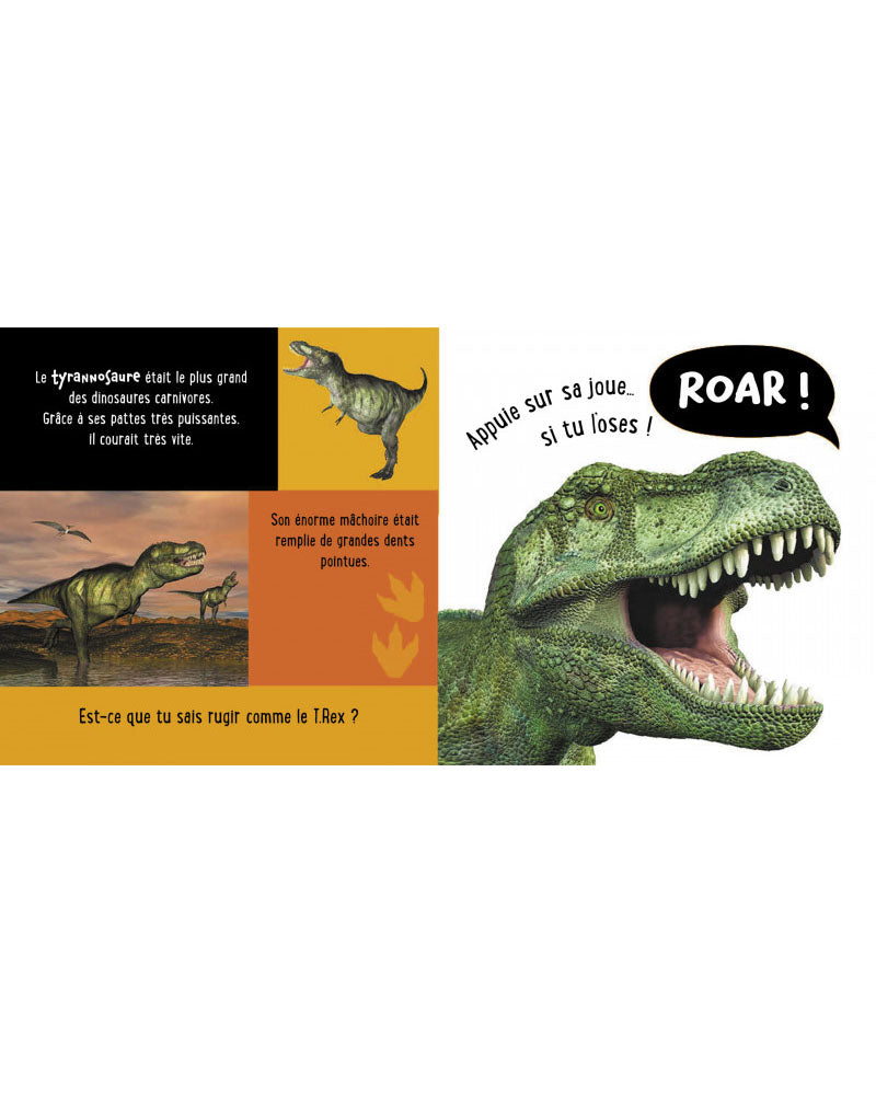 Mon premier livre sonore à toucher : les dinosaures