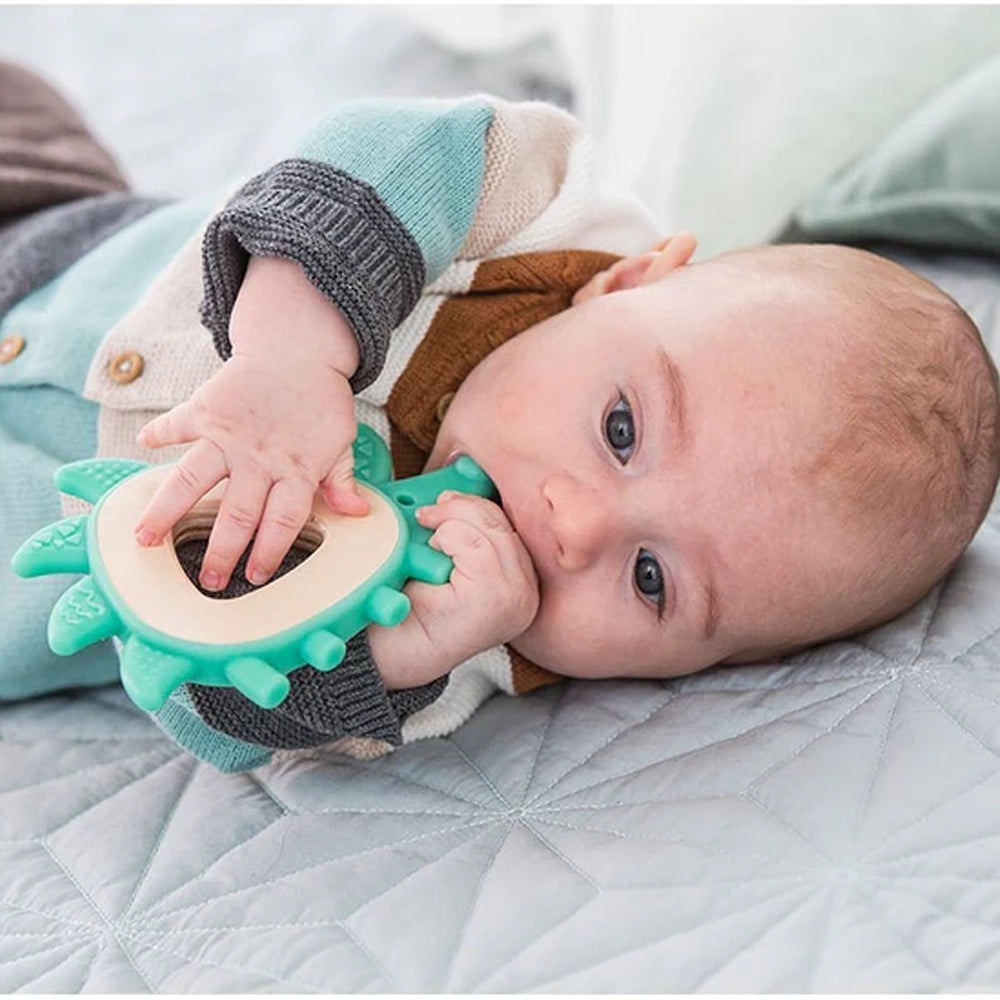 Hape Hedgehog Teething Ring 0-18M