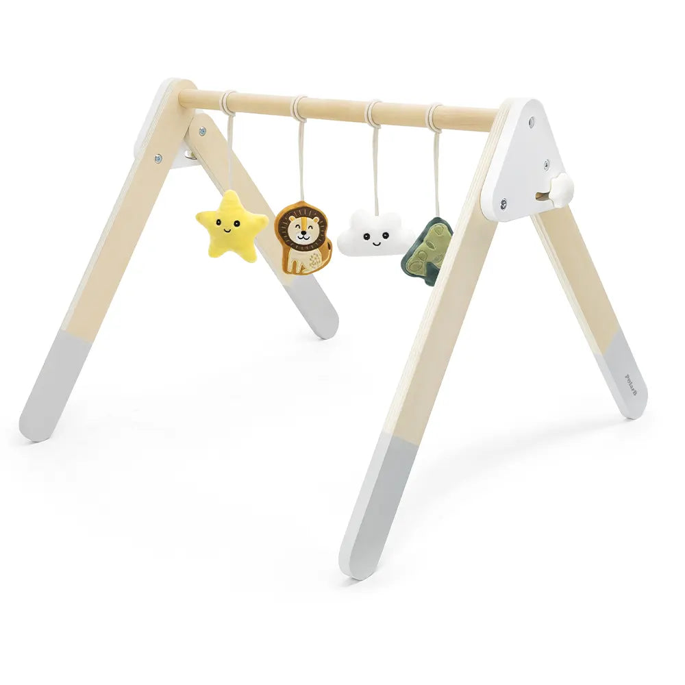 Viga Toys PolarB Play Gym pour Bébé Pliable 0M+