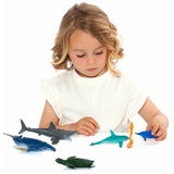 Molto Set de 6 Animaux de la Mer 3A+