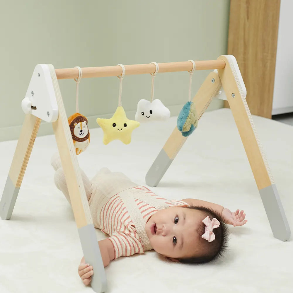 Viga Toys PolarB Play Gym pour Bébé Pliable 0M+