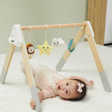 Viga Toys PolarB Play Gym pour Bébé Pliable 0M+