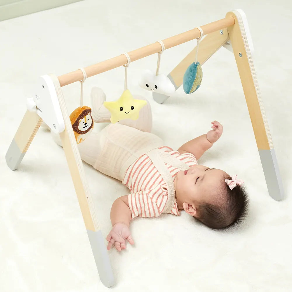 Viga Toys PolarB Play Gym pour Bébé Pliable 0M+