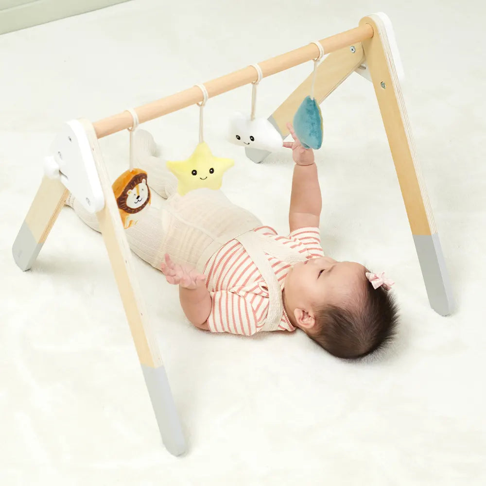 Viga Toys PolarB Play Gym pour Bébé Pliable 0M+