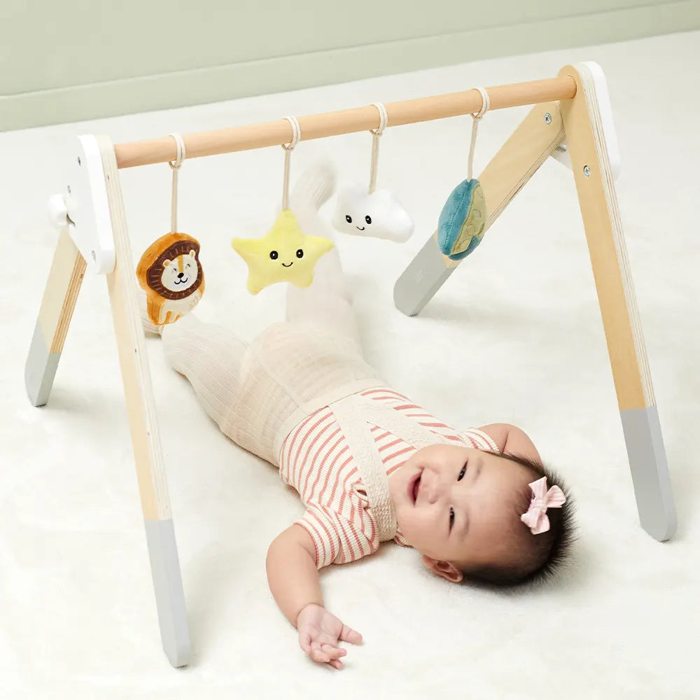 Viga Toys PolarB Play Gym pour Bébé Pliable 0M+