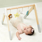 Viga Toys PolarB Play Gym pour Bébé Pliable 0M+