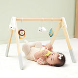 Viga Toys PolarB Play Gym pour Bébé Pliable 0M+