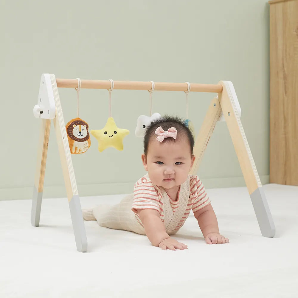 Viga Toys PolarB Play Gym pour Bébé Pliable 0M+