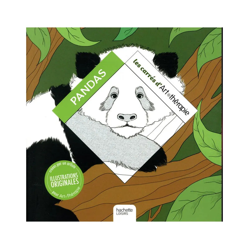 Las Plazas de Arte Terapia - Pandas