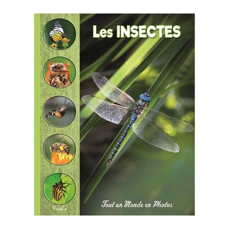 Los Insectos – Todo un Mundo en Fotos