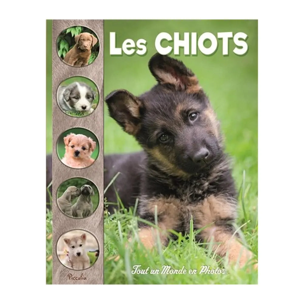 Les Chiots – Tout un Monde en Photos