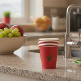 Pack of 10 Cups – Morocco Flag