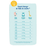 Pañales Carryboo de Nuestras Regiones Talla 4+ (9-20kg) - 42 Unidades