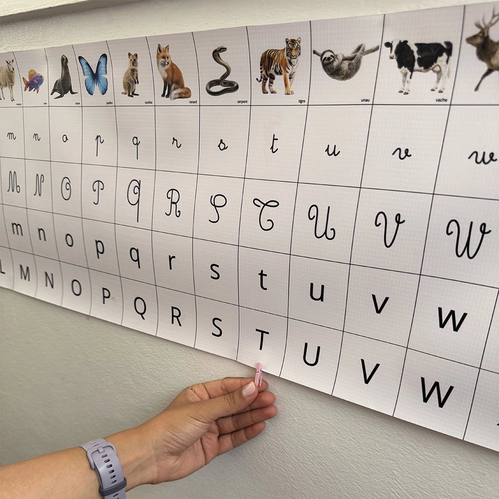Frise Phonémique Montessori – Les Premiers Sons