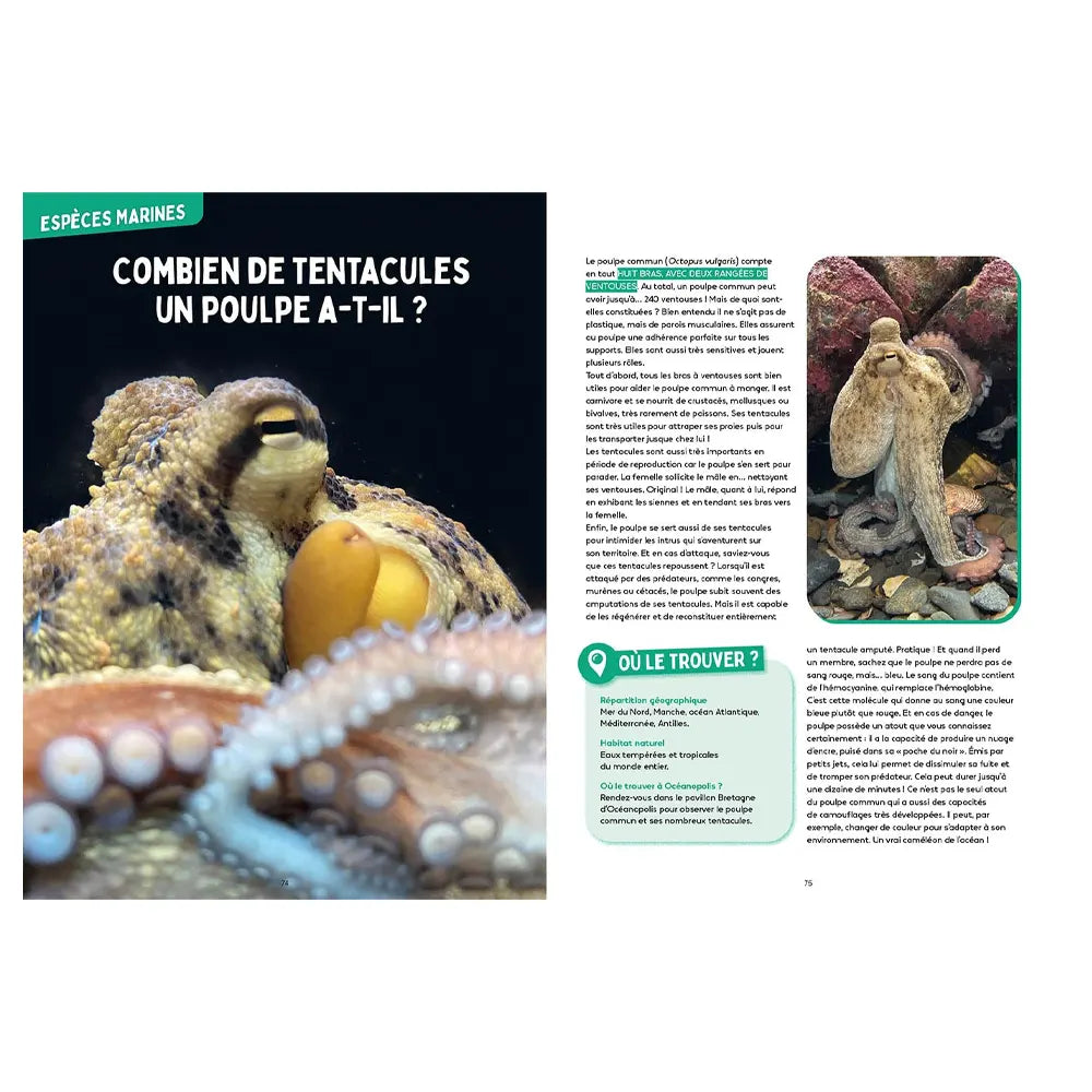 Les Mystères de l'océan - Science & Vie Junior