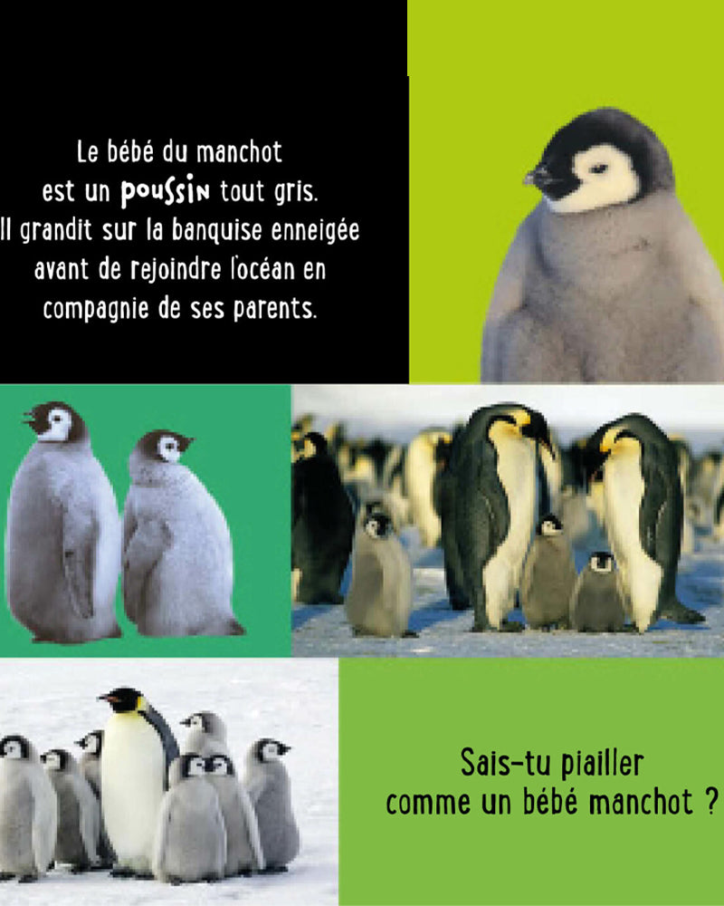 Mon Premier Livre Sonore à Toucher - Les bébés Animaux