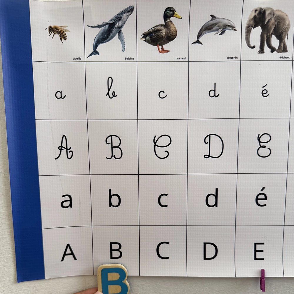 Frise Phonémique Montessori – Les Premiers Sons