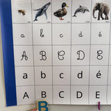 Frise Phonémique Montessori – Les Premiers Sons