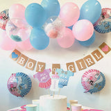 Kit de Decoración para Revelación de Género Niño o Niña - Rosa y Azul