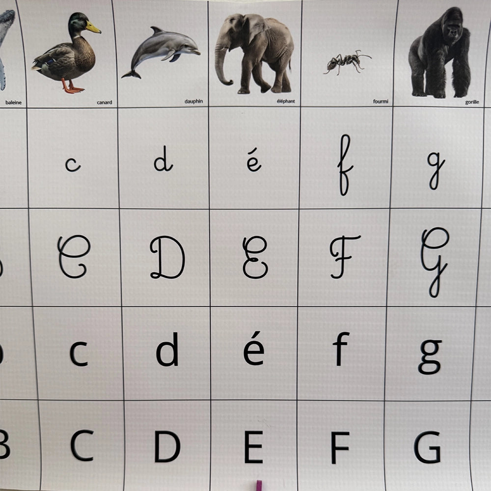 Frise Phonémique Montessori – Les Premiers Sons