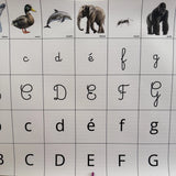 Frise Phonémique Montessori – Les Premiers Sons