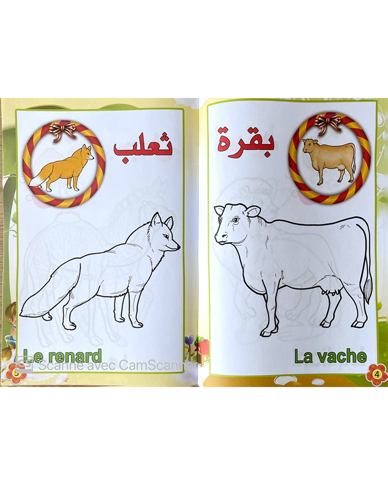 Ta3alam M3a -   Coloring book series: Learn with