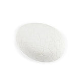 Eurekakids Œuf de Dinosaure Lumineux à Creuser – 6A+