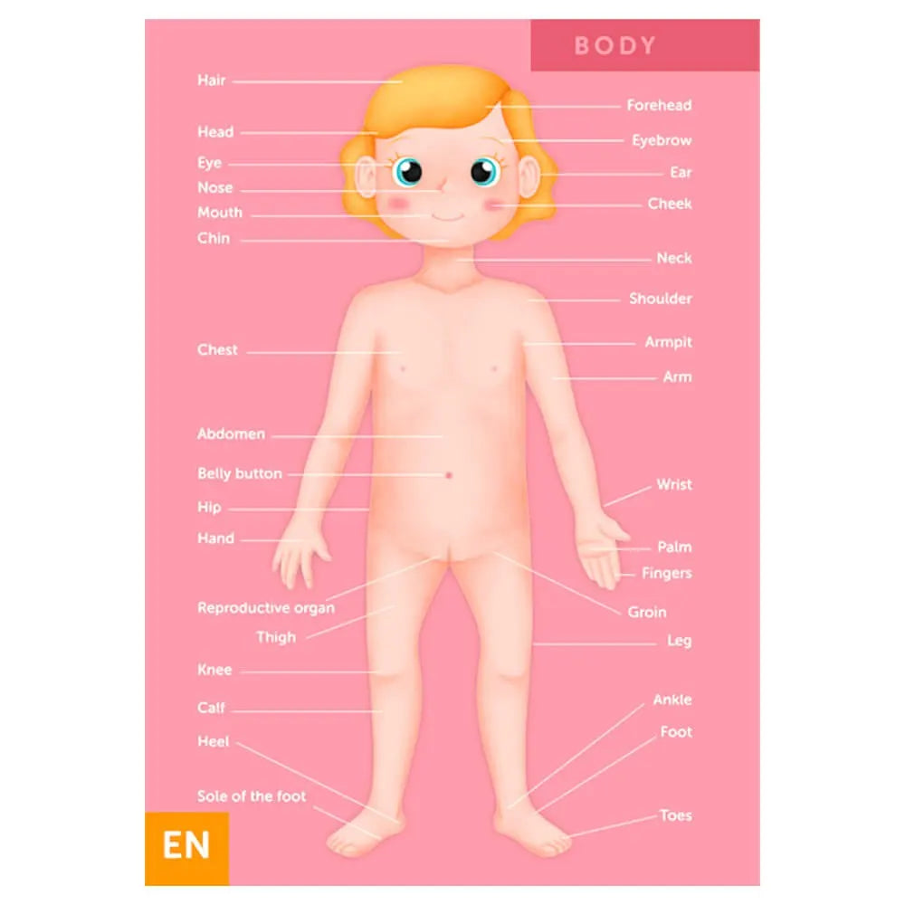 Eurekakids Puzzle éducatif 100 pièces Le corps humain - 6A+