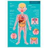Eurekakids Puzzle éducatif 100 pièces Le corps humain - 6A+