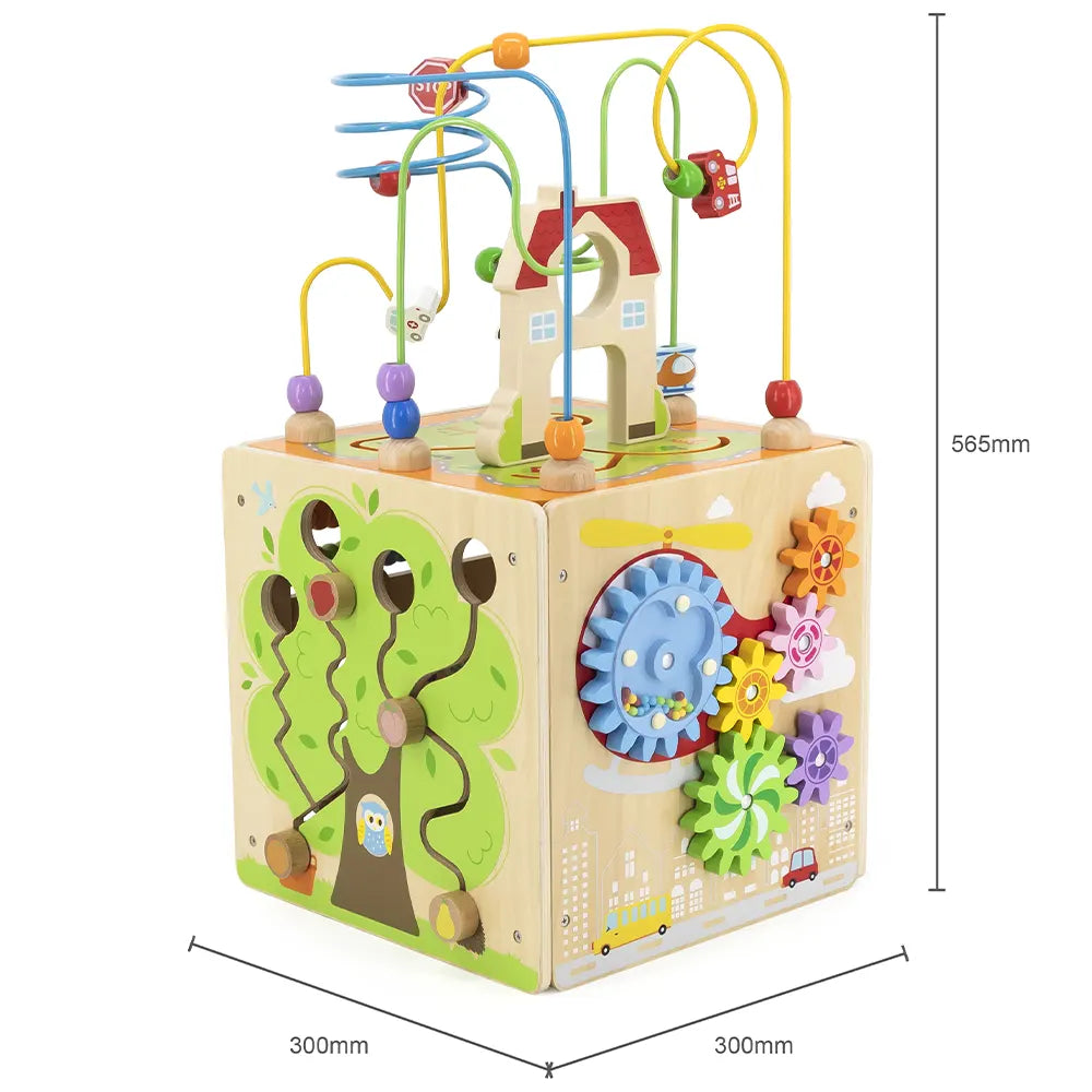 Viga Toys Cube d'Activité 5 en 1 18M+