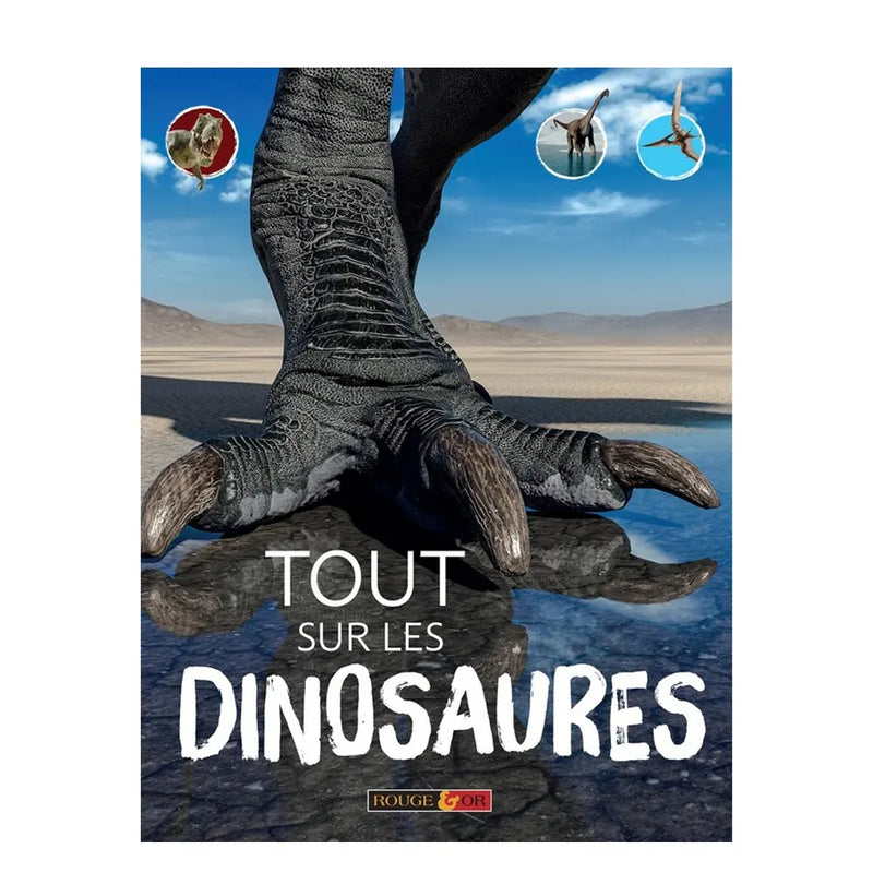 Todo sobre los Dinosaurios – Rouge et Or