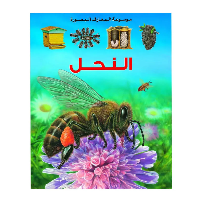 Illustrated Encyclopedia of Knowledge: Bees - In Arabic