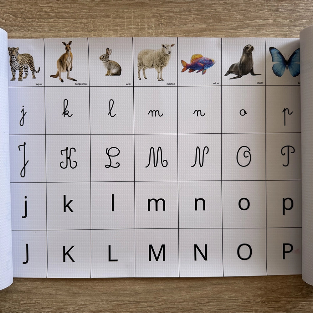 Frise Phonémique Montessori – Les Premiers Sons