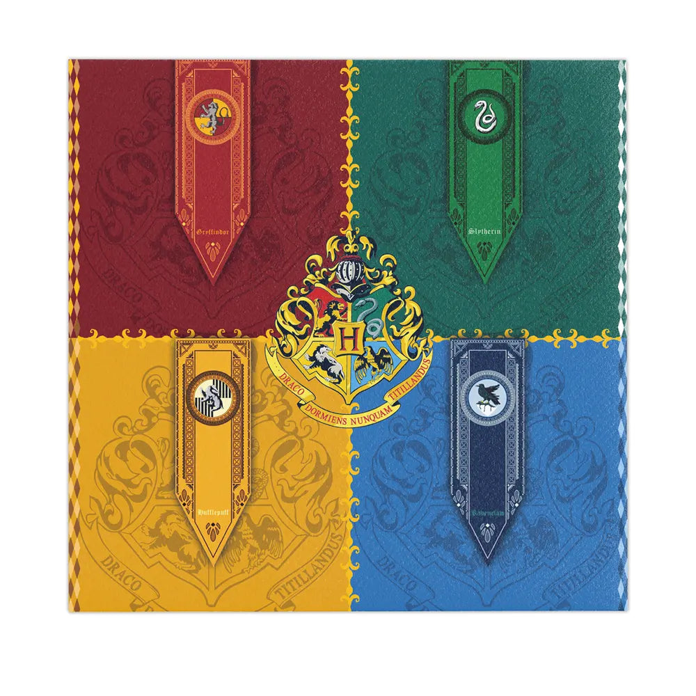 Pack Anniversaire 51 Pièces - Harry Potter