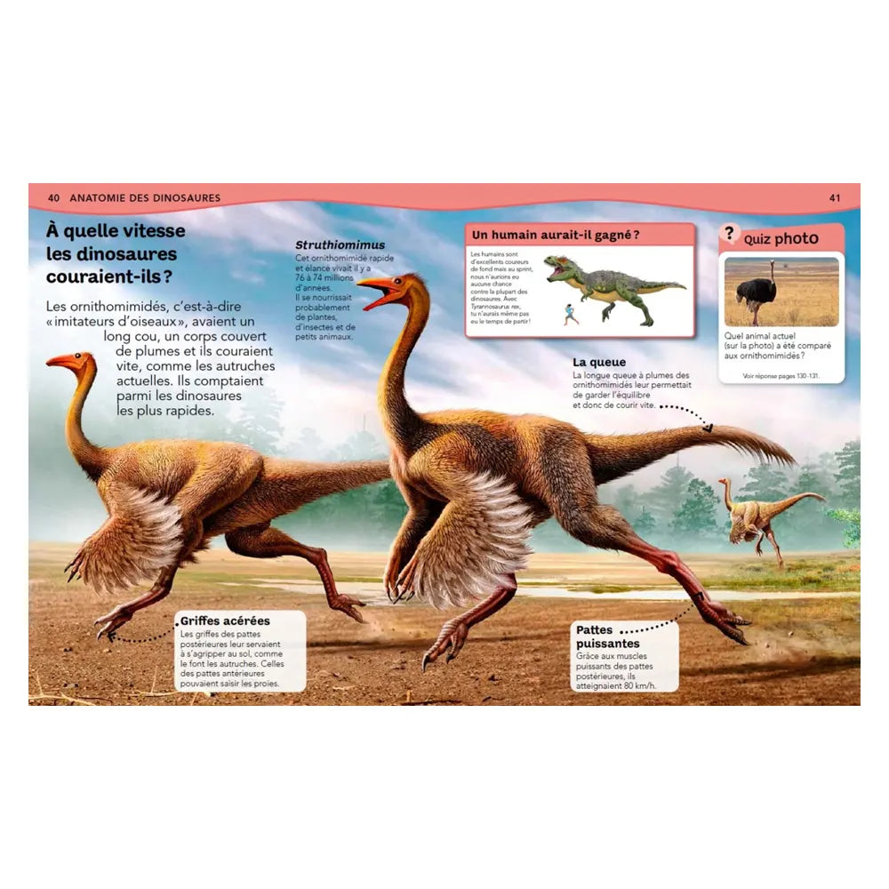 Nathan L'encyclopédie des Dinosaures - Questions/Réponses
