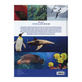 Piccolia Livre Mon Grand Animalier de la Mer