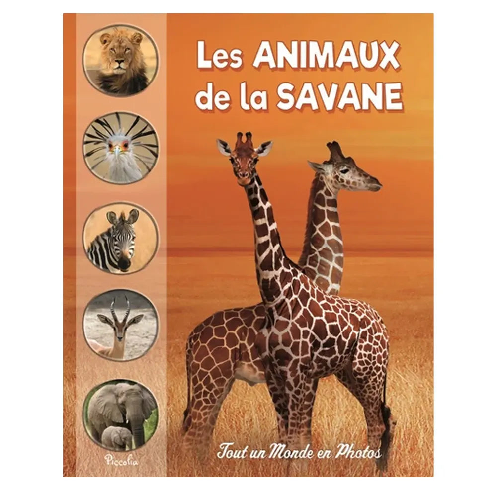 Piccolia Livre Tout un Monde en Photos - Les Animaux de la Savane