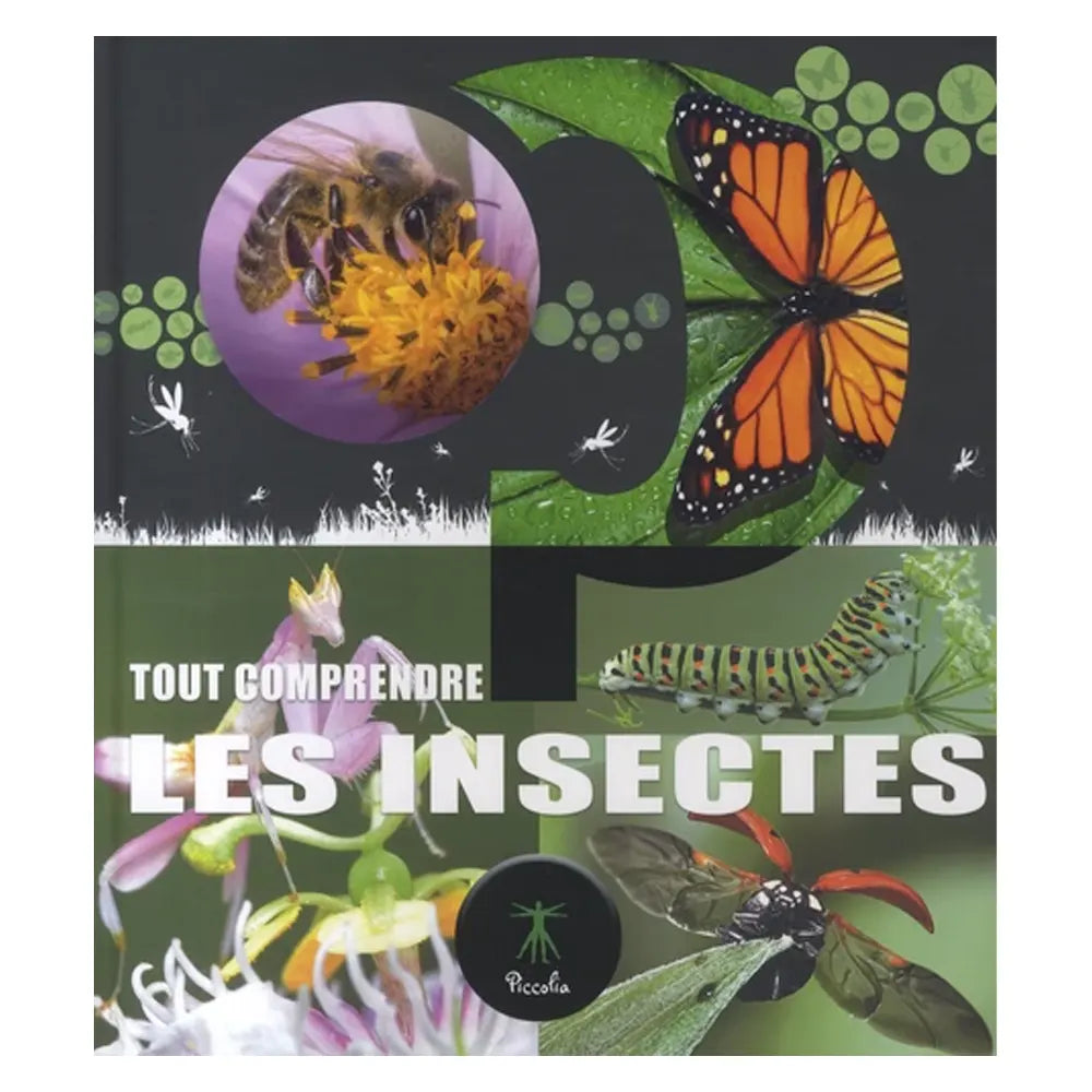 Piccolia Livre Tout Comprendre - Les Insectes