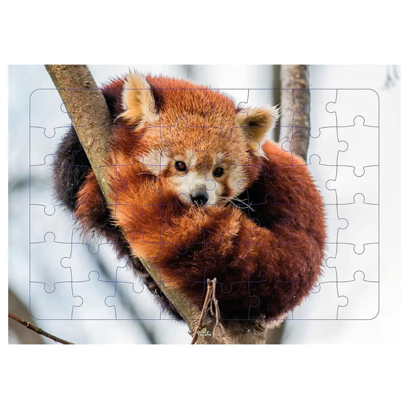 Piccolia Puzzle Foto Panda Rojo 48 Piezas - 4A+