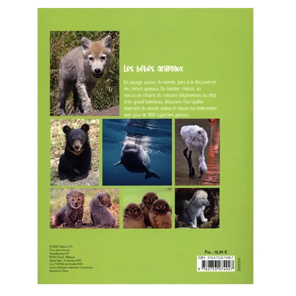 Piccolia Livre Les Bébés Animaux - 800 Photos