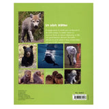 Piccolia Livre Les Bébés Animaux - 800 Photos