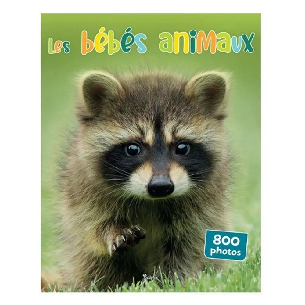 Piccolia Livre Les Bébés Animaux - 800 Photos